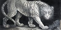 black and white canvas artwork of a mystical tiger glowing